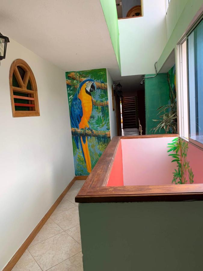 Hotel Las Guacamayas Guatape Bagian luar foto